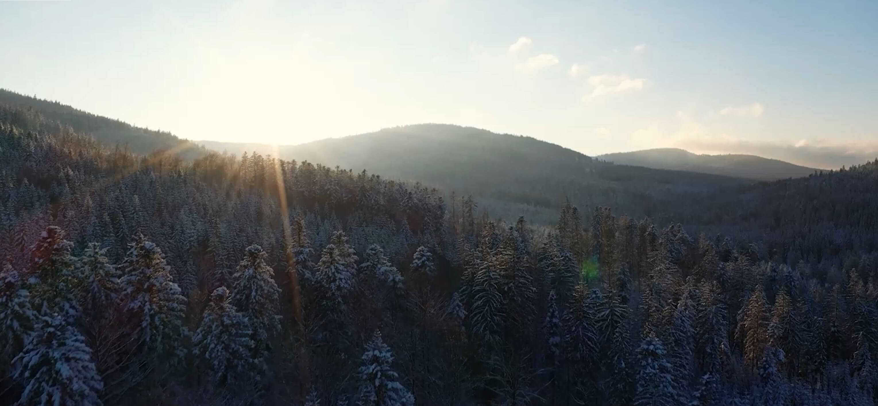 An image of the Black Forest - VEGA Grieshaber KG is based in Schiltach.
